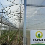 Obecnie obiekt firmy Farmer u p. Karola Bąka ma powierzchnię 1,3 ha (fot. DŁB)