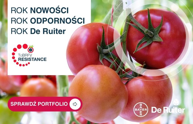 Seminis baner relacja z Łaszkowa