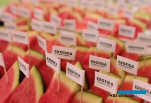 Arbuz bezpestkowy Exotica (fot. Hazera)