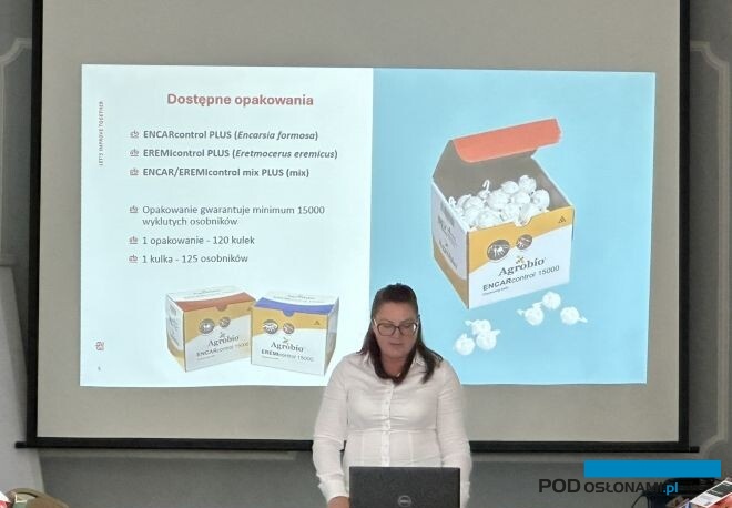 K. Lik omówiła różnicę między kulkami a karteczkami z Encarsią (fot. DŁB)