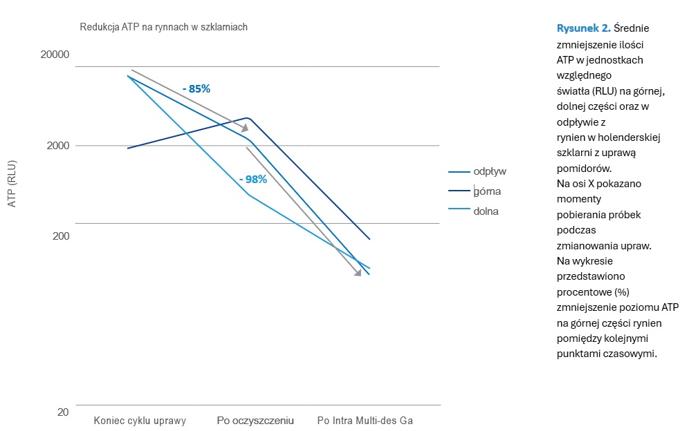 Średnie zmniejszenie ilości ATP w jednostkach względnego światła (RLU) na górnej, dolnej części oraz w odpływie z rynien w holenderskiej szklarni z uprawą pomidorów. Na osi X pokazano momenty pobierania próbek podczas zmianowania upraw. Na wykresie przedstawiono procentowe (%) zmniejszenie poziomu ATP na górnej części rynien pomiędzy kolejnymi punktami czasowymi.