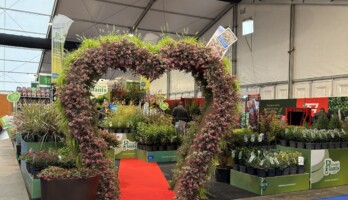 GrootGroenPlus 2025_fot. A-Cecot