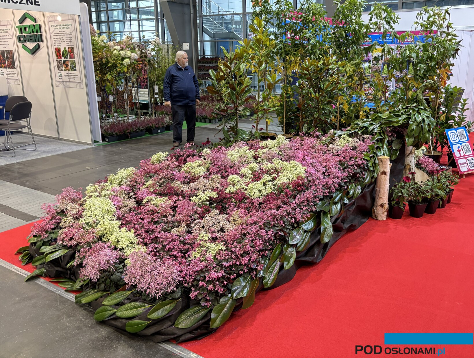 Stoisko szkolki Zymon_paw ze skalnic zarzyczkolistnych i lisci magnolii_Gardenia 2025_fot. A-Cecot