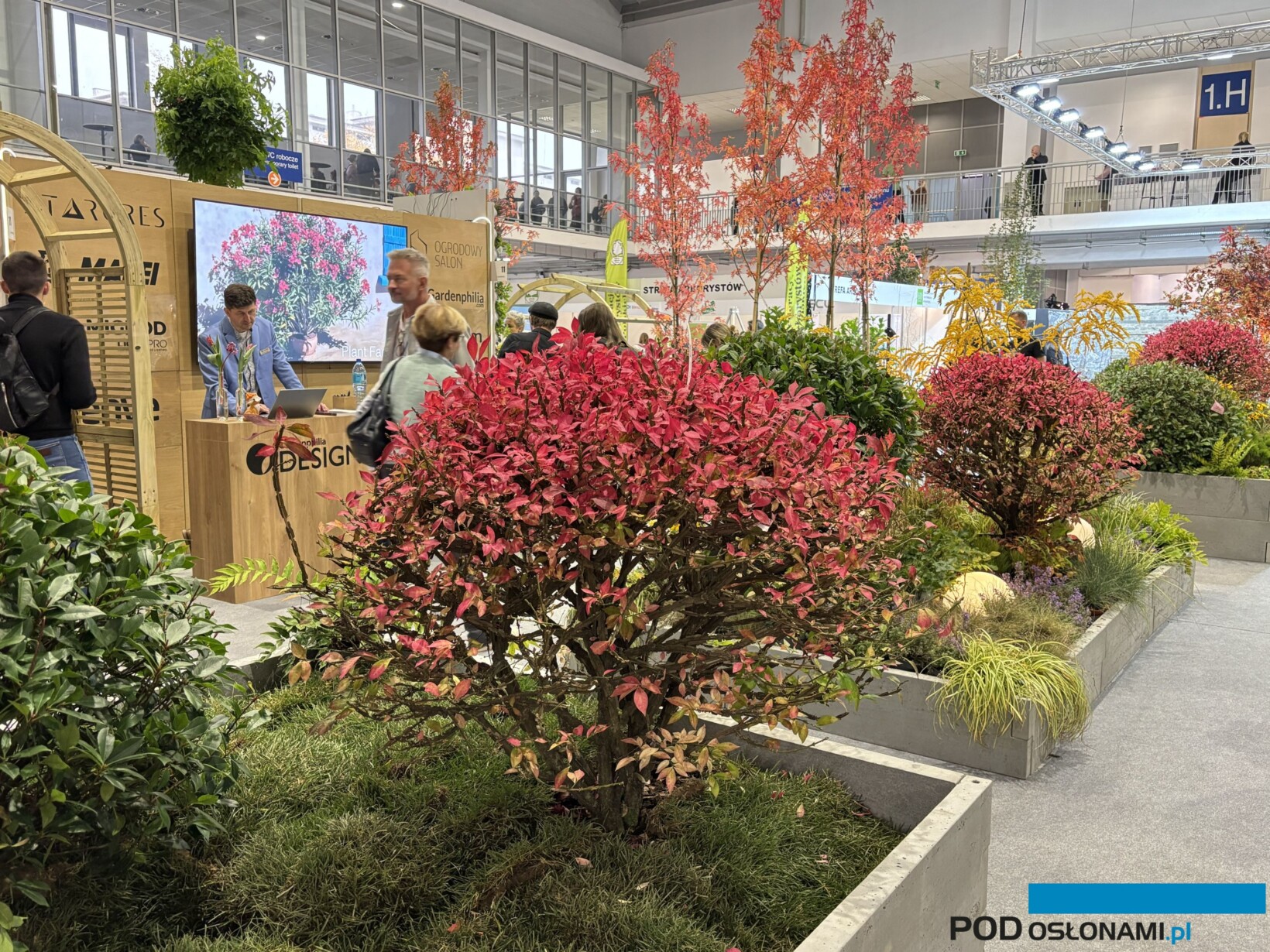 Fragment ogrodu pokazowego OSTO, który urozmaicił pejzaż Gardenii 2025 (fot. A. Cecot)