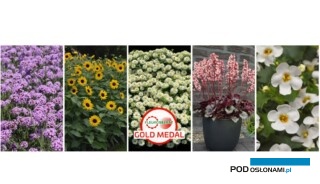 Odmiany roślin ozdobnych nagrodzone Złotymi Medalami Fleuroselectu (fot. Fleuroselect)