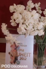Lathyrus odoratus ‘Royal White’