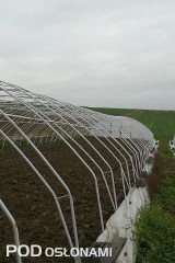 Konstrukcje tuneli do uprawy najwcześniejszych warzyw kapustnych stawiane są już w październiku 