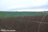 Konstrukcje tuneli do uprawy najwcześniejszych warzyw kapustnych